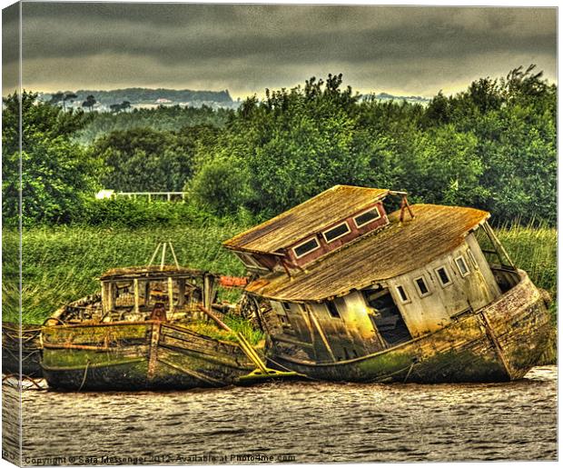 Old wreck Canvas Print by Sara Messenger