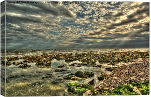 Newhaven Canvas Print by Sara Messenger