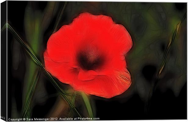 Poppy Canvas Print by Sara Messenger