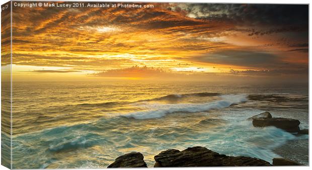 The Platform Canvas Print by Mark Lucey