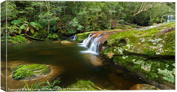 A Parallel View - Somesby Falls Canvas Print by Mark Lucey