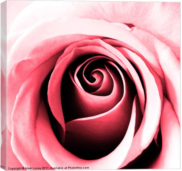 Contours of Pink Canvas Print by Mark Lucey