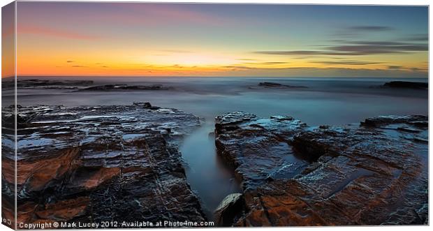 Red Rock Gully Canvas Print by Mark Lucey