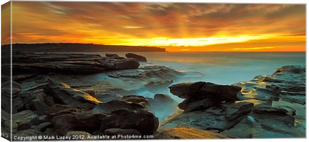 Just Glorious Canvas Print by Mark Lucey