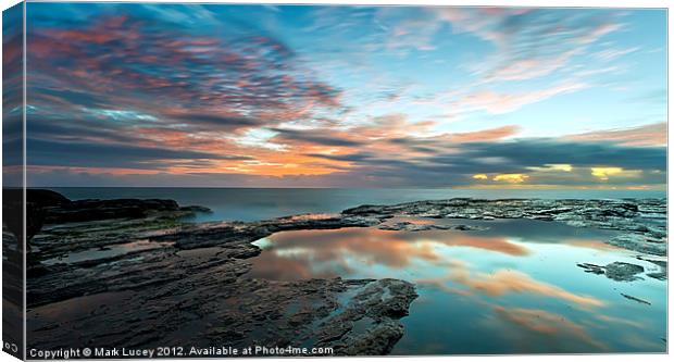 Natures Radiance Canvas Print by Mark Lucey