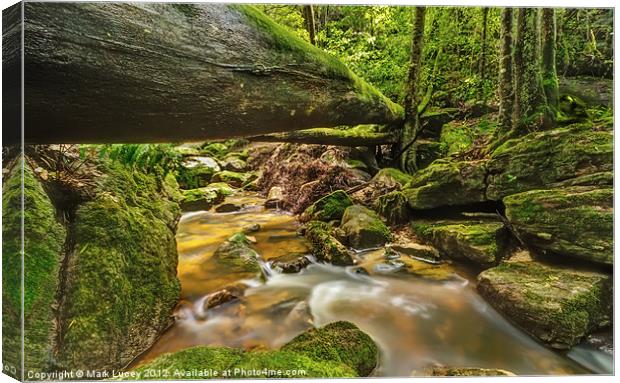 Fallen from Grace Canvas Print by Mark Lucey