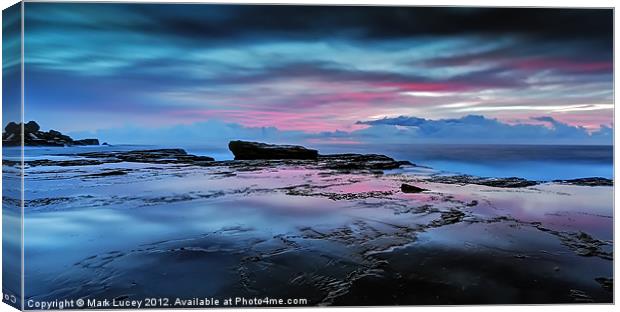 A Sea of Desire Canvas Print by Mark Lucey