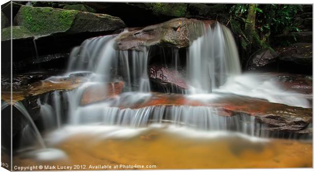Falls of the Wilderness Canvas Print by Mark Lucey