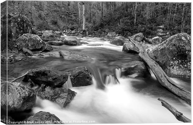 Spring Melt Canvas Print by Mark Lucey