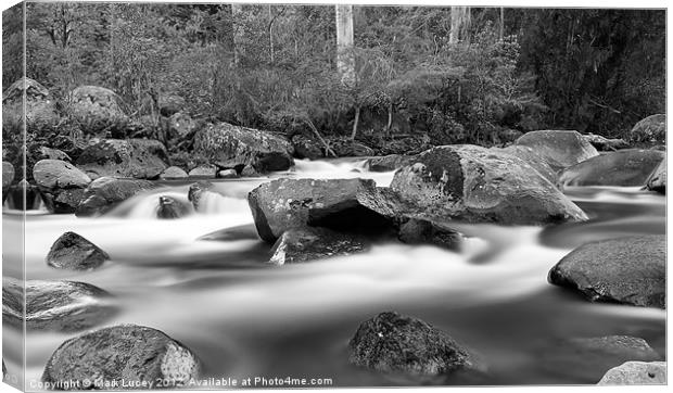 White in Black Canvas Print by Mark Lucey