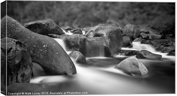 Mystic in the Mountain Canvas Print by Mark Lucey