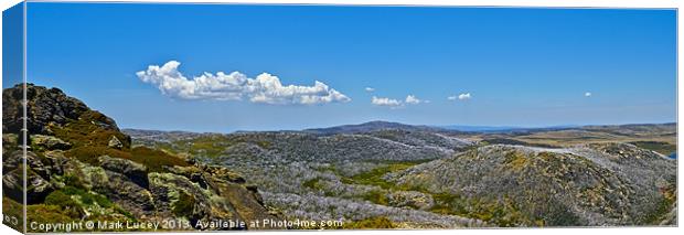 The Bogong High Plains Canvas Print by Mark Lucey