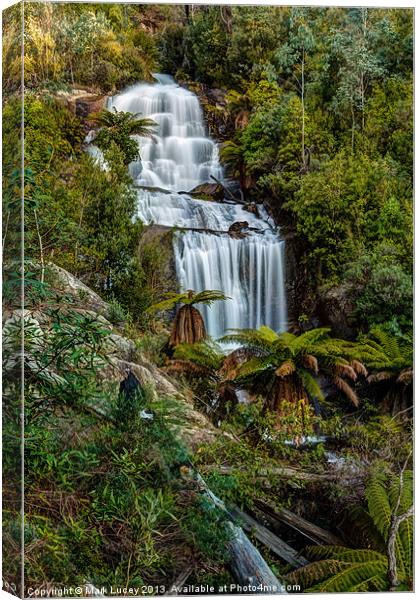 Fainter Falls - Bogong Victoria Canvas Print by Mark Lucey