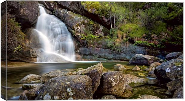 Lady Bath Falls Canvas Print by Mark Lucey