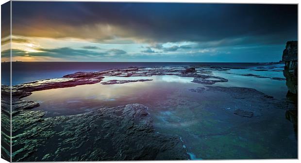 Rising Canvas Print by Mark Lucey