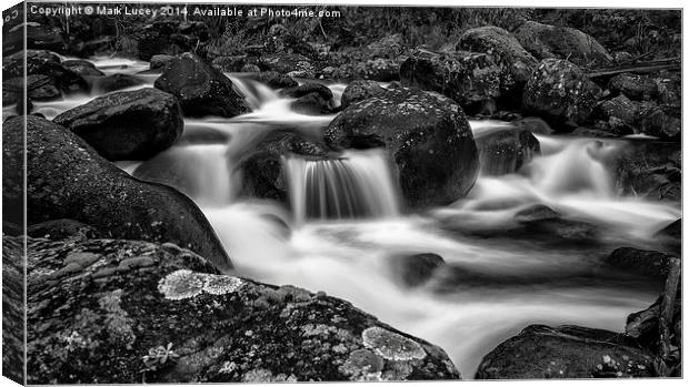 Aqua Mystic  Canvas Print by Mark Lucey