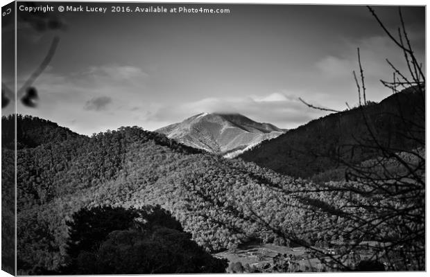 Mt Feathertop Canvas Print by Mark Lucey