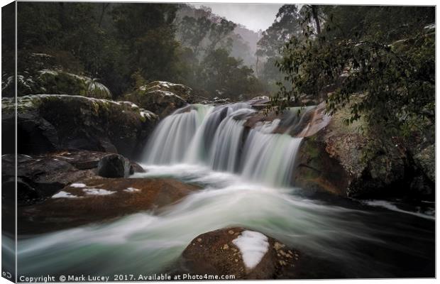 Snowy Mist Canvas Print by Mark Lucey