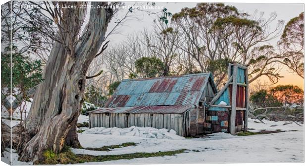 Hut in the Snow Canvas Print by Mark Lucey