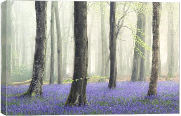 Blue Crew Canvas Print by Chris Frost