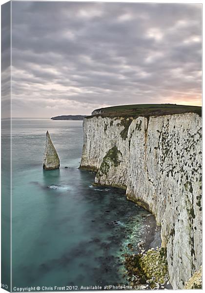 The Stack at Ballard Point Canvas Print by Chris Frost