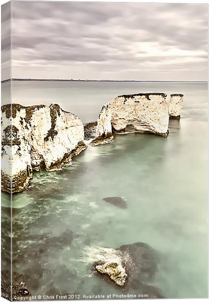Old Harry Rocks Canvas Print by Chris Frost