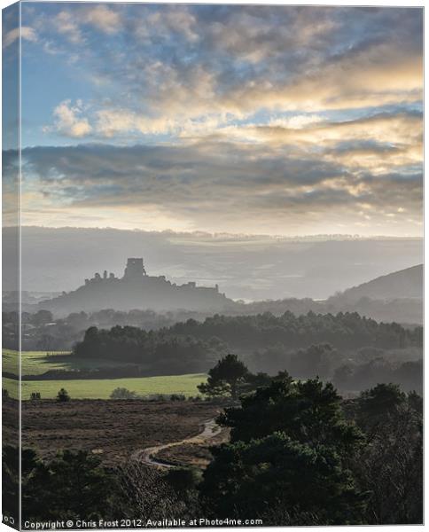 Road to the Castle Canvas Print by Chris Frost