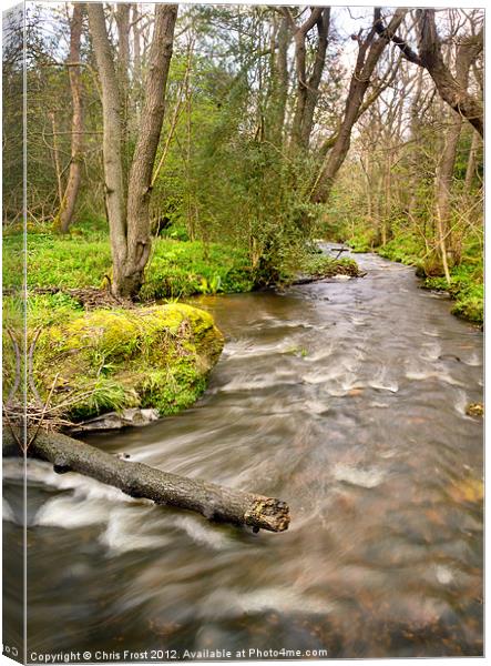 The Nidd at Birk Crag Canvas Print by Chris Frost