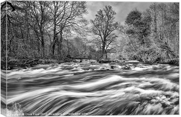 Raging River Wharf BW Canvas Print by Chris Frost