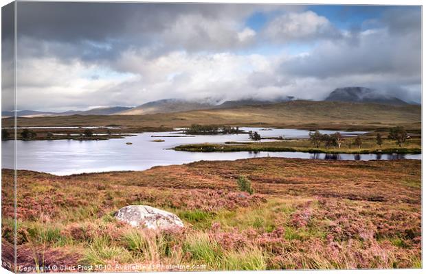 Rannoch Moor Heather Canvas Print by Chris Frost