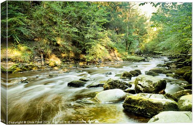 Calm after Thornton Force Canvas Print by Chris Frost