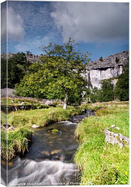 Malham Cove Flow Canvas Print by Chris Frost