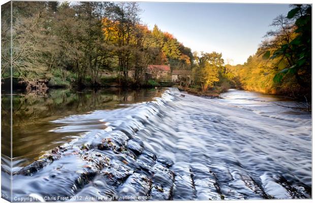 Nidd Gorge Autumn Weir Canvas Print by Chris Frost