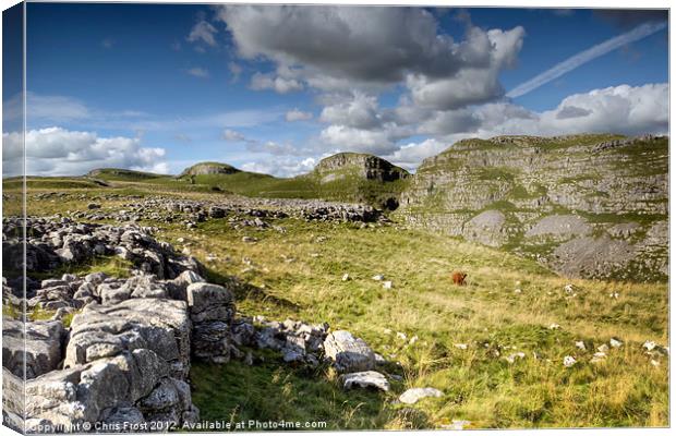 All Alone at Malham Canvas Print by Chris Frost