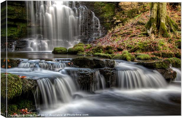 Scaleber Force Falls Canvas Print by Chris Frost
