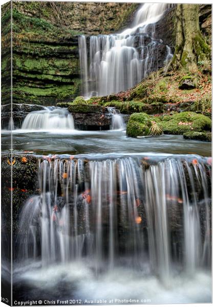Scaleber Force Steps Canvas Print by Chris Frost