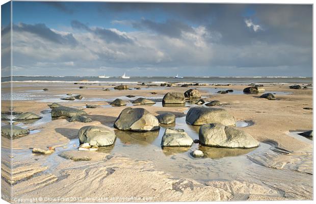 Tidal Pool Boulders Canvas Print by Chris Frost