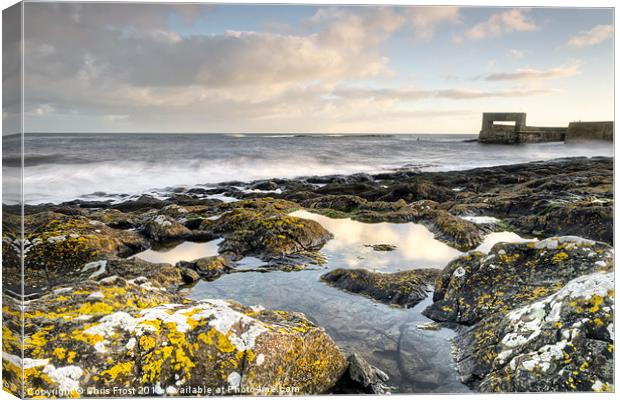 Craster Harbour Rock Pools Canvas Print by Chris Frost