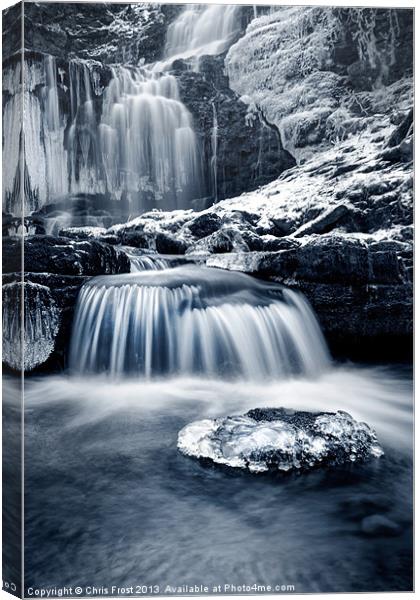 Fresh Falls at Scaleber Force Canvas Print by Chris Frost