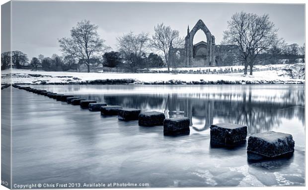 Bolton Abbey Reflections Canvas Print by Chris Frost