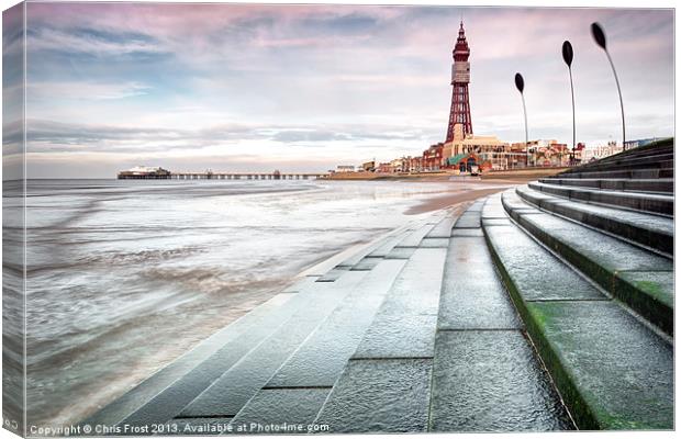 Blackpool Tower Curves Canvas Print by Chris Frost