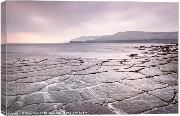 Crazy Paving at Kimmeridge Bay Canvas Print by Chris Frost