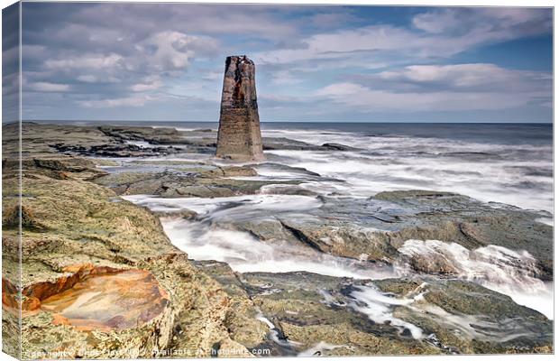 Behind St Marys Lighthouse Canvas Print by Chris Frost