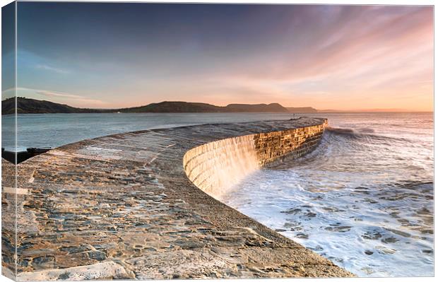 Sunkissed Cobb at Lyme Regis Canvas Print by Chris Frost
