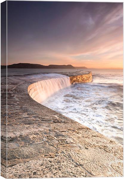 Sunkissed Cobb at Lyme Regis Canvas Print by Chris Frost