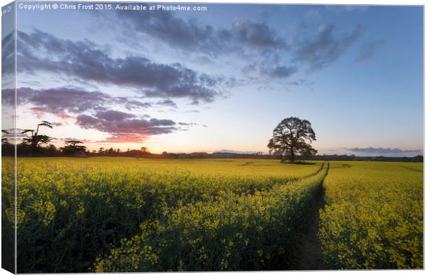  Day's Done at Kingston Lacy Canvas Print by Chris Frost