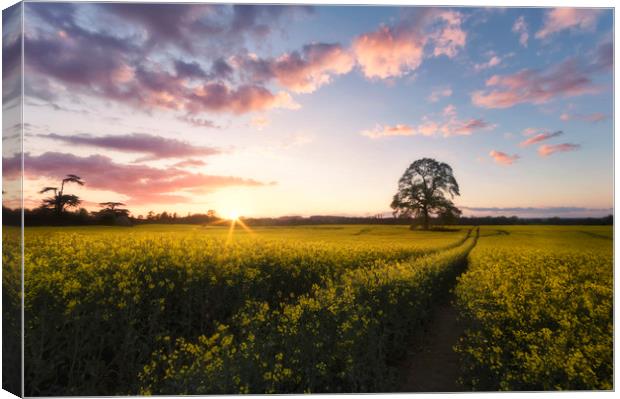 Kingston Lacy Sundown Canvas Print by Chris Frost