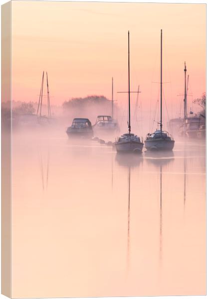 River Frome Canvas Print by Chris Frost