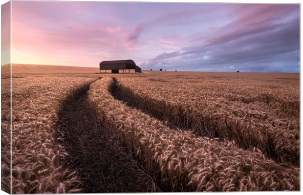 The Barn Canvas Print by Chris Frost