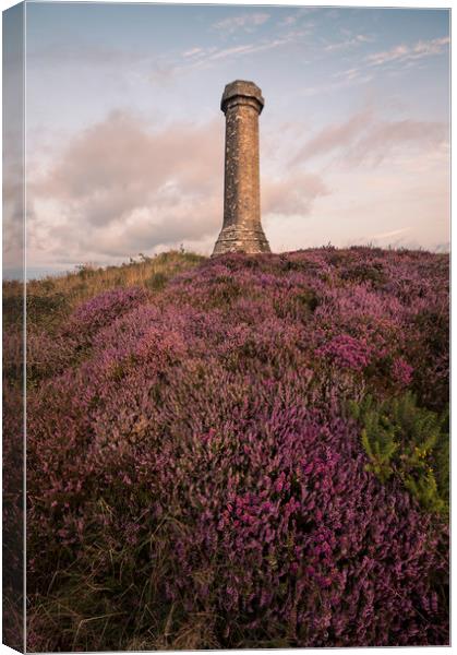 Hardy' Bloom Canvas Print by Chris Frost